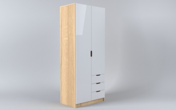 Шкаф 2-х створчатый с ящиками Лофт (Белый/корпус Дуб Сонома) в Яровом - yarovoe.mebel54.com | фото