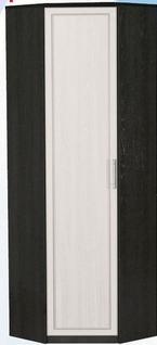 Шкаф для одежды угловой ДЛЯ ГОСТИНОЙ ШОУ-695 Венге/Дуб выбеленный в Яровом - yarovoe.mebel54.com | фото