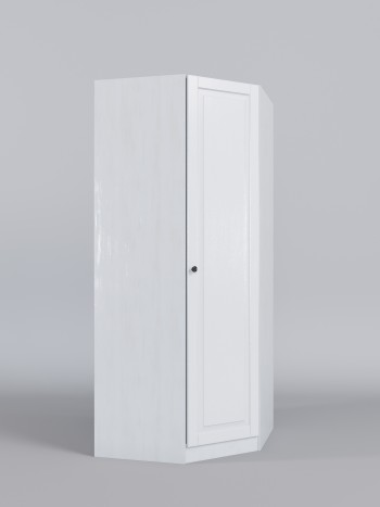 Шкаф угловой (угловая секция) Классика (Белый/корпус Выбеленное дерево) в Яровом - yarovoe.mebel54.com | фото